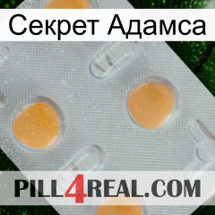 Секрет Адамса 24